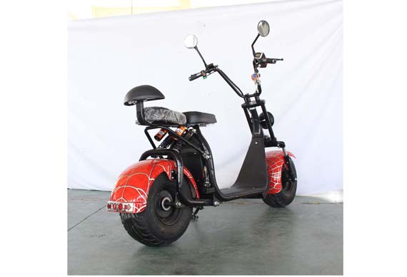 Citycoco 2 Wheel 1500W Electric Scooter For Europe