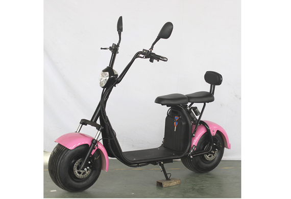 New Electric Motor Scooter 1000W Citycoco Moto Electrica