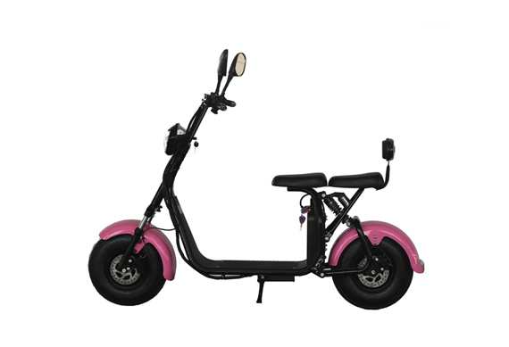 New Electric Motor Scooter 1000W Citycoco Moto Electrica