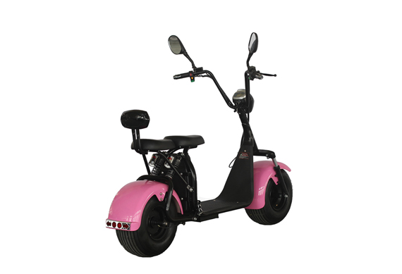 New Electric Motor Scooter 1000W Citycoco Moto Electrica