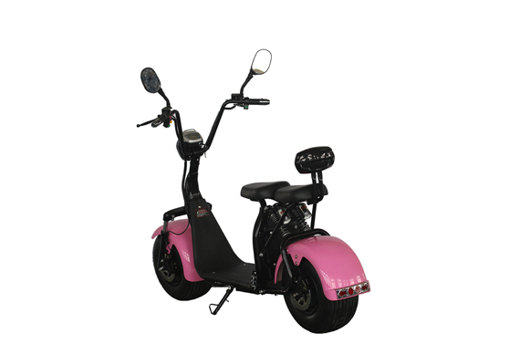 New Electric Motor Scooter 1000W Citycoco Moto Electrica