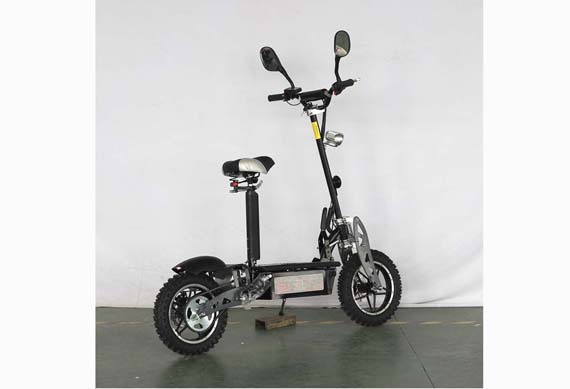 Super September Popular Electrical Scooter 1000W Adult