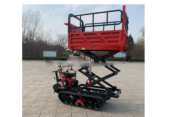 Free shipping china self-loading mini transporter rubber dumper track with different weight