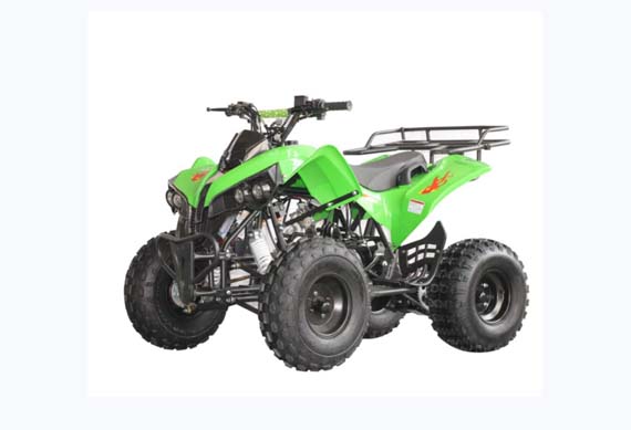 125cc 4 Stroke Motorcycle Mini Gas Power Car for Kids ATV
