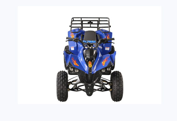 Blue 125cc 4 Stroke Mini Gas Power Car for Kids ATV