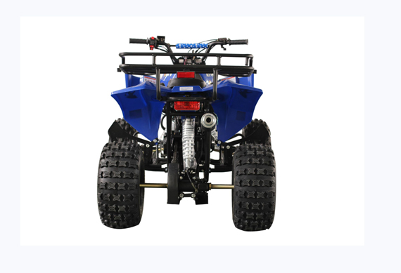 New 125cc 4 Stroke Mini Gas Power Car for Kids ATV