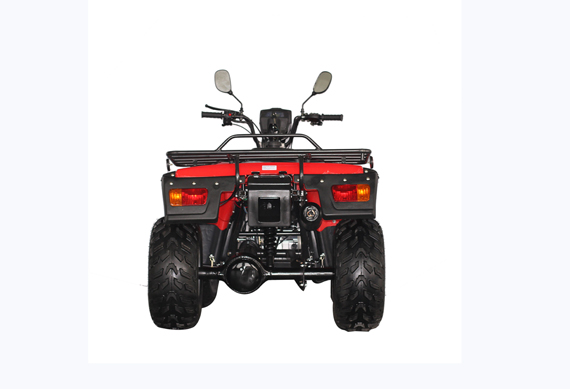 250cc 4*4 Off Road Automatic ATV