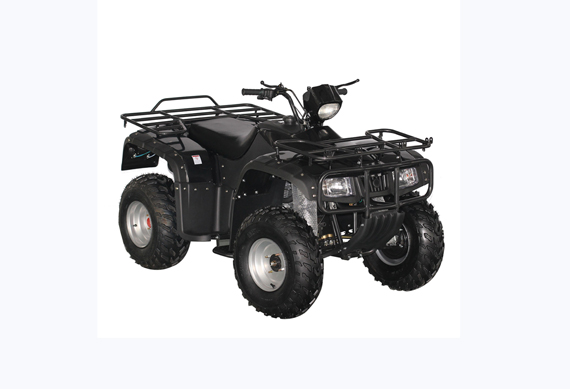 250cc 4*4 All Road Automatic ATV