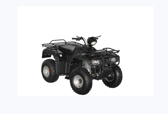 250cc 4*4 All Road Automatic ATV