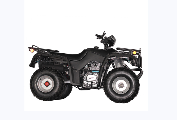 250cc 4*4 All Road Automatic ATV