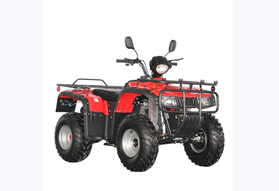 250cc 4*4 All Road Automatic ATV