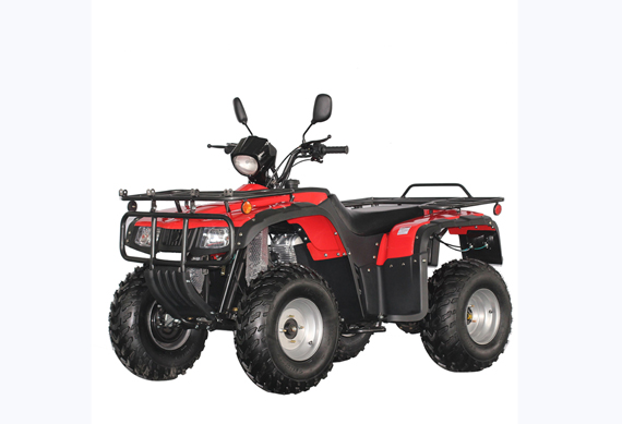 250cc 4*4 All Road Automatic ATV