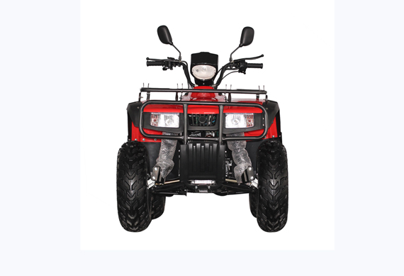 250cc 4*4 Automatic Quad ATV