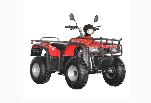 Best 250cc 4*4 Off Road Chain Transmission Automatic ATV