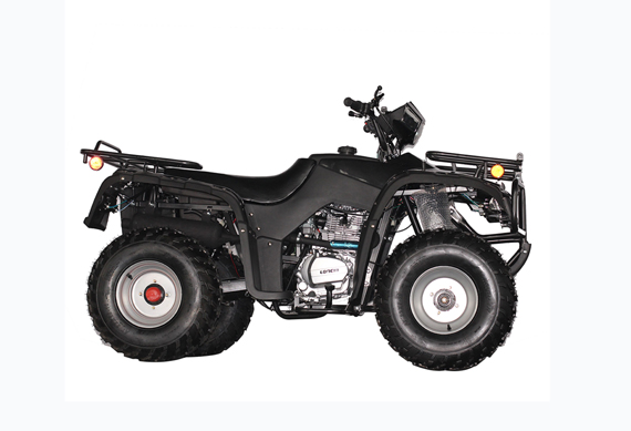 Best 250cc 4*4 Off Road Chain Transmission Automatic ATV