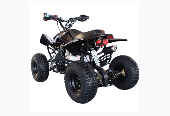 Fast quads atv 125 cc automatic engine