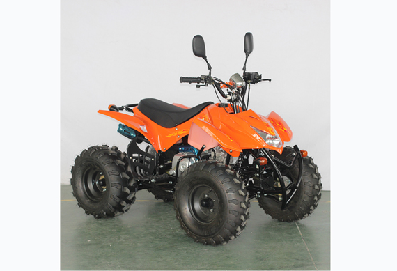 Plastic body and 4 wheeler 125cc ATV