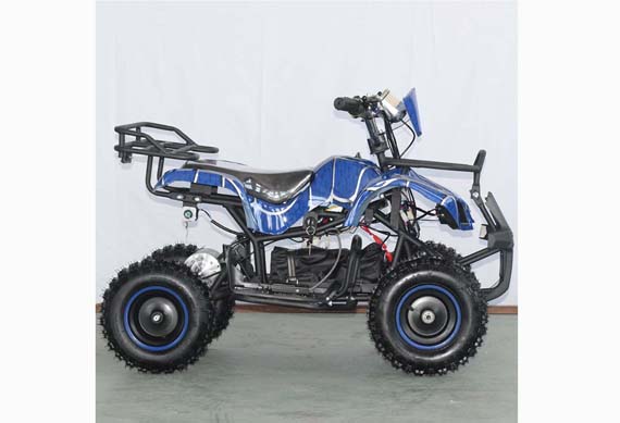 Enjoyable Kids Electric Quad Bike 36V1000W