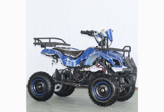 Enjoyable Kids Electric Quad Bike 36V1000W