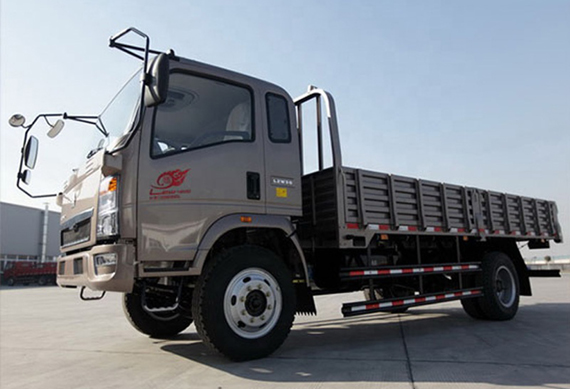 5ton New China Sinotruk Howo 4x2 Light Duty Cargo Truck For Sale