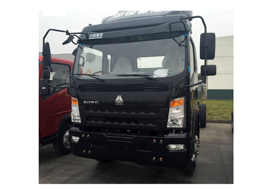 Sinotruk 4x2 sino mini light cargo tipper truck