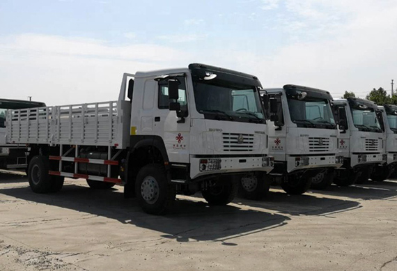 Sinotruk howo 8x4 12 wheeler cargo trucks for sale