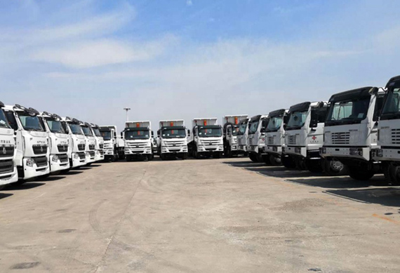 Sinotruk howo 8x4 12 wheeler cargo trucks for sale