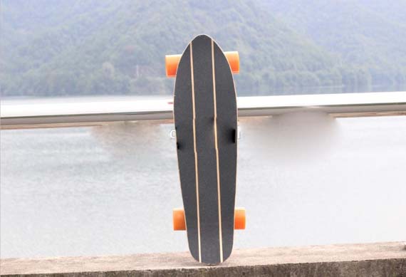 Mini Rolling Wheel Electric Skateboard 100W